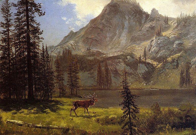Albert Bierstadt Albert Bierstadt Call Of The Wild China oil painting art